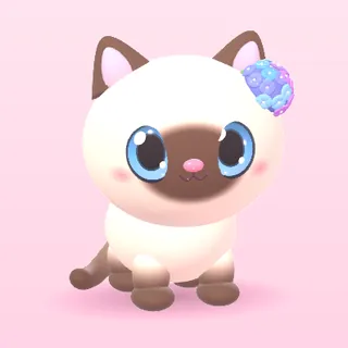 Siamese cat with blue eyes and a hydrangea