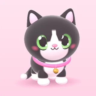 Tuxedo cat with green eyes and a bell collar